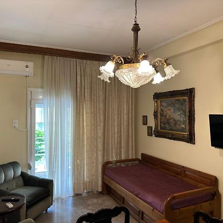 Theoni Central Apartment Kalampáka Ngoại thất bức ảnh