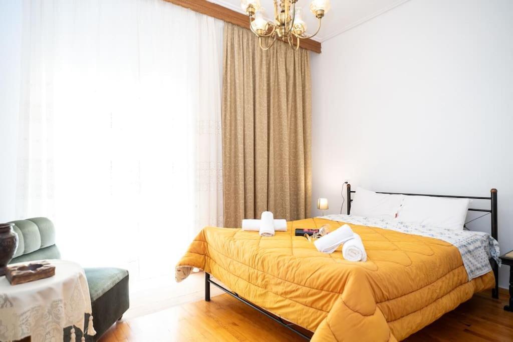 Theoni Central Apartment Kalampáka Ngoại thất bức ảnh