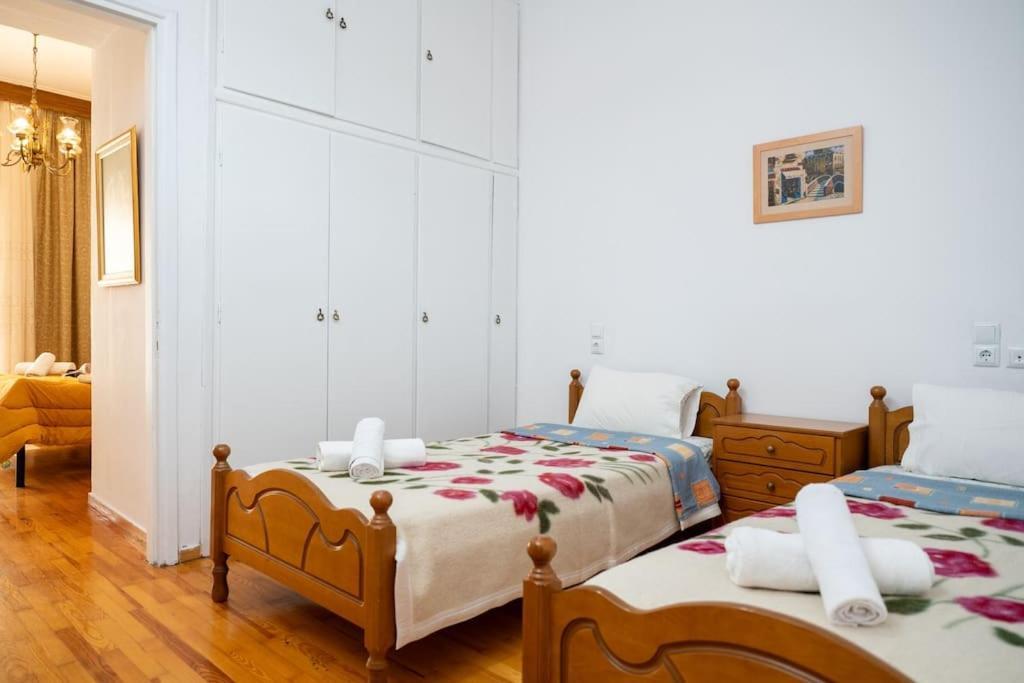 Theoni Central Apartment Kalampáka Ngoại thất bức ảnh