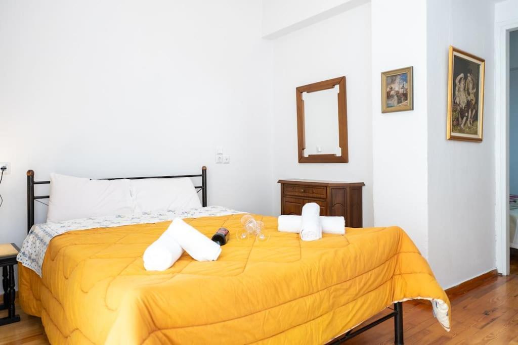 Theoni Central Apartment Kalampáka Ngoại thất bức ảnh