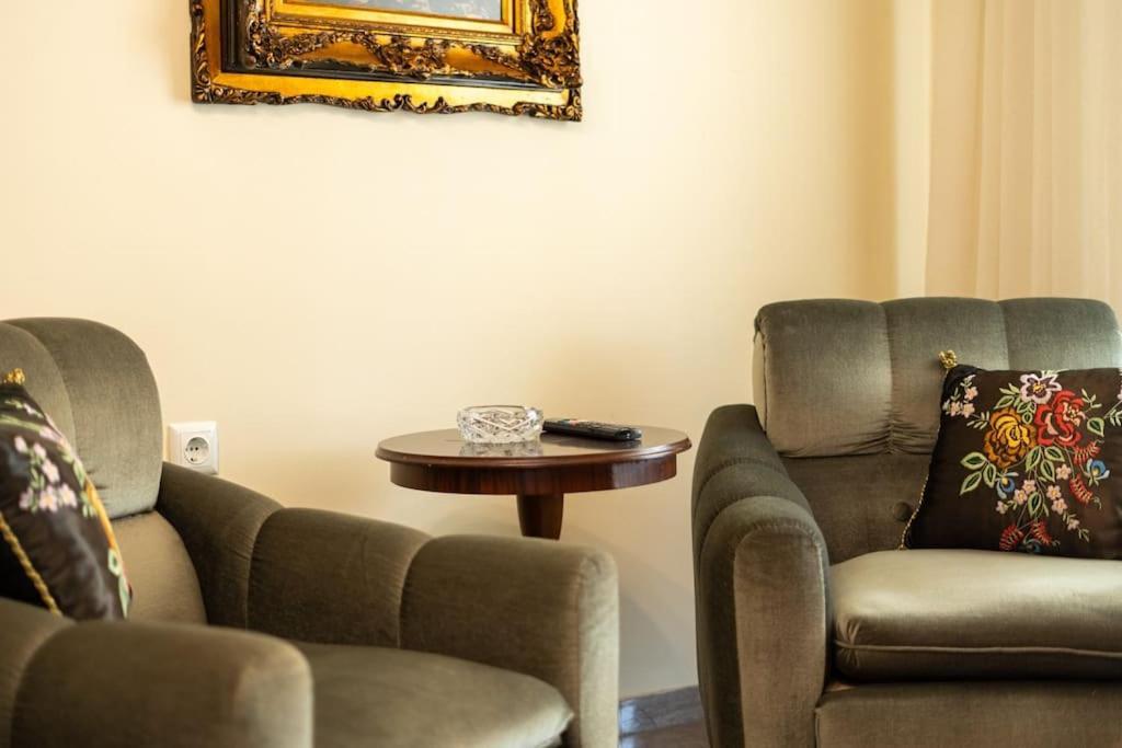 Theoni Central Apartment Kalampáka Ngoại thất bức ảnh