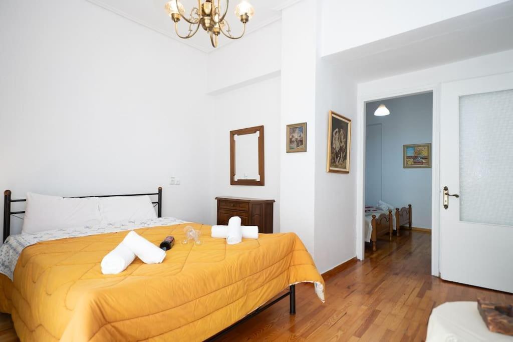Theoni Central Apartment Kalampáka Ngoại thất bức ảnh