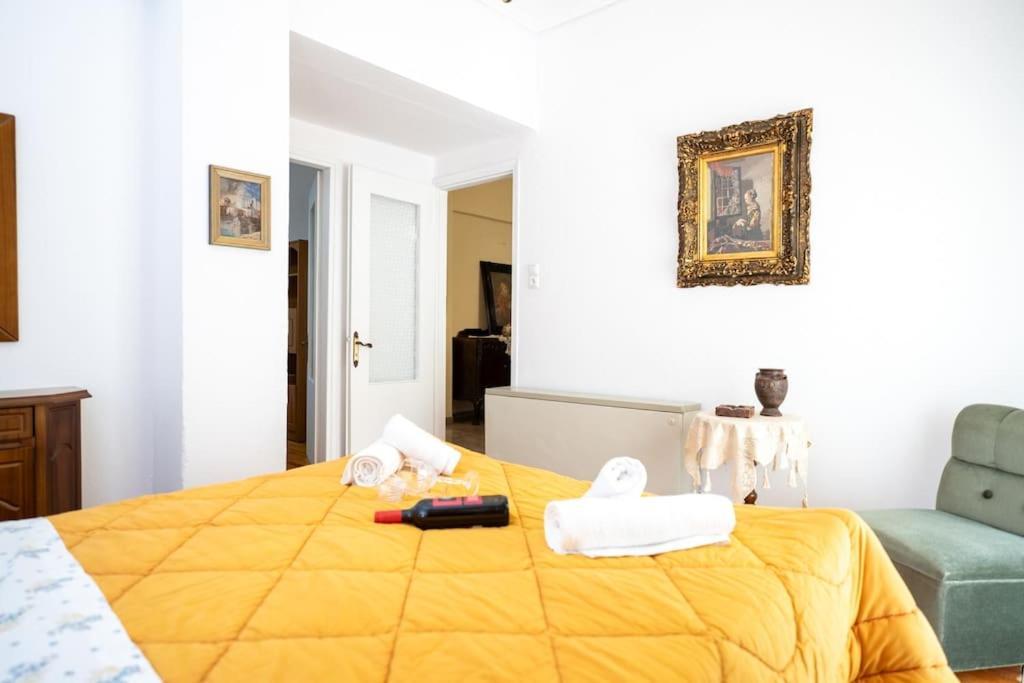 Theoni Central Apartment Kalampáka Ngoại thất bức ảnh