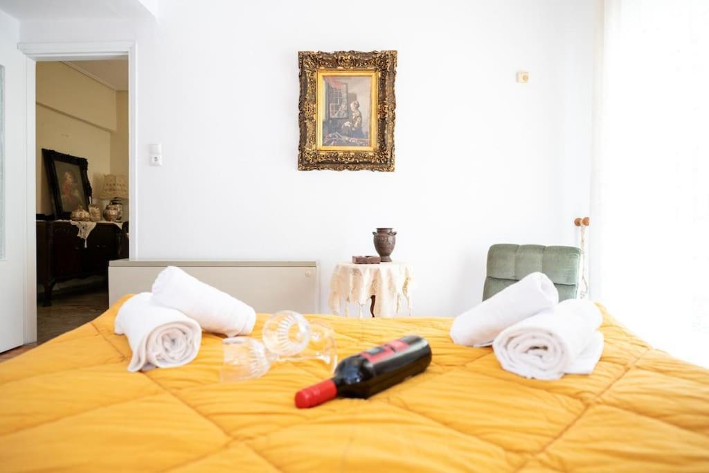 Theoni Central Apartment Kalampáka Ngoại thất bức ảnh